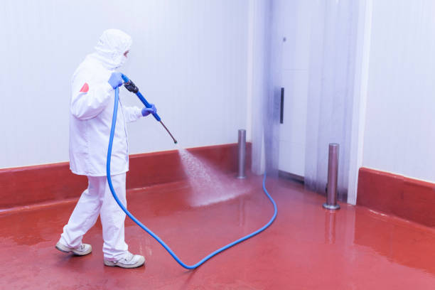 Best Pre-Holiday Cleaning  in Lorain, OH