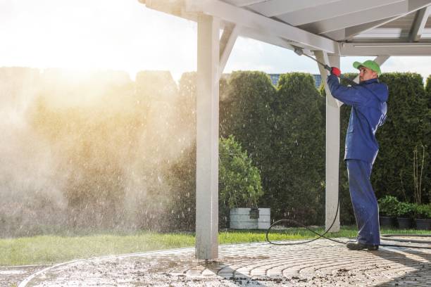 Best Soft Washing  in Lorain, OH